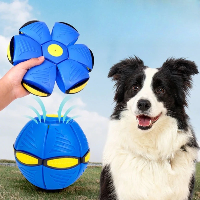 Foldable Pet Ball
