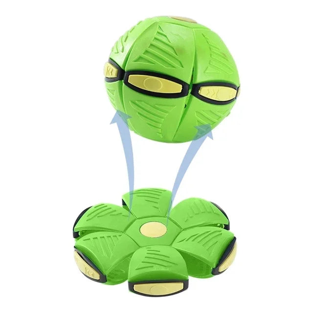 Foldable Pet Ball