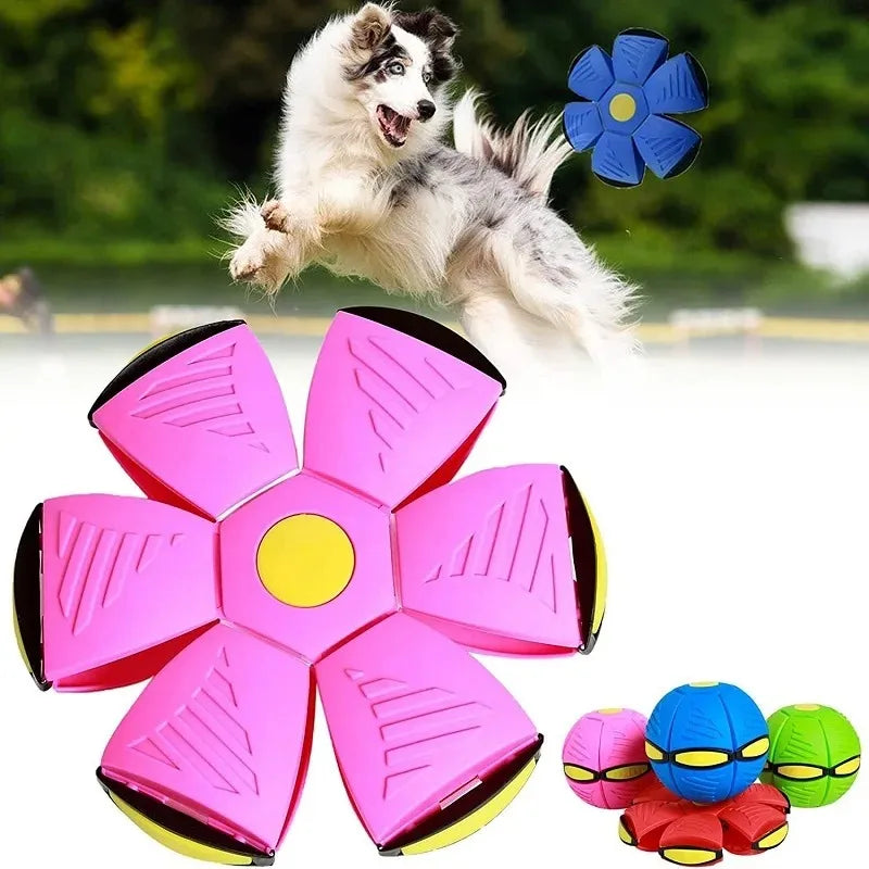 Foldable Pet Ball